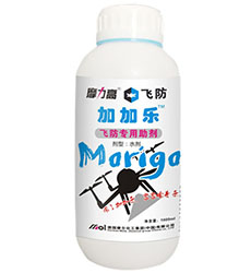 �w����������(�ӼӘ�)